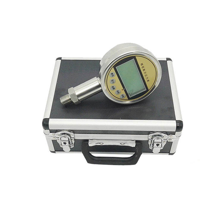 精密數字壓力表